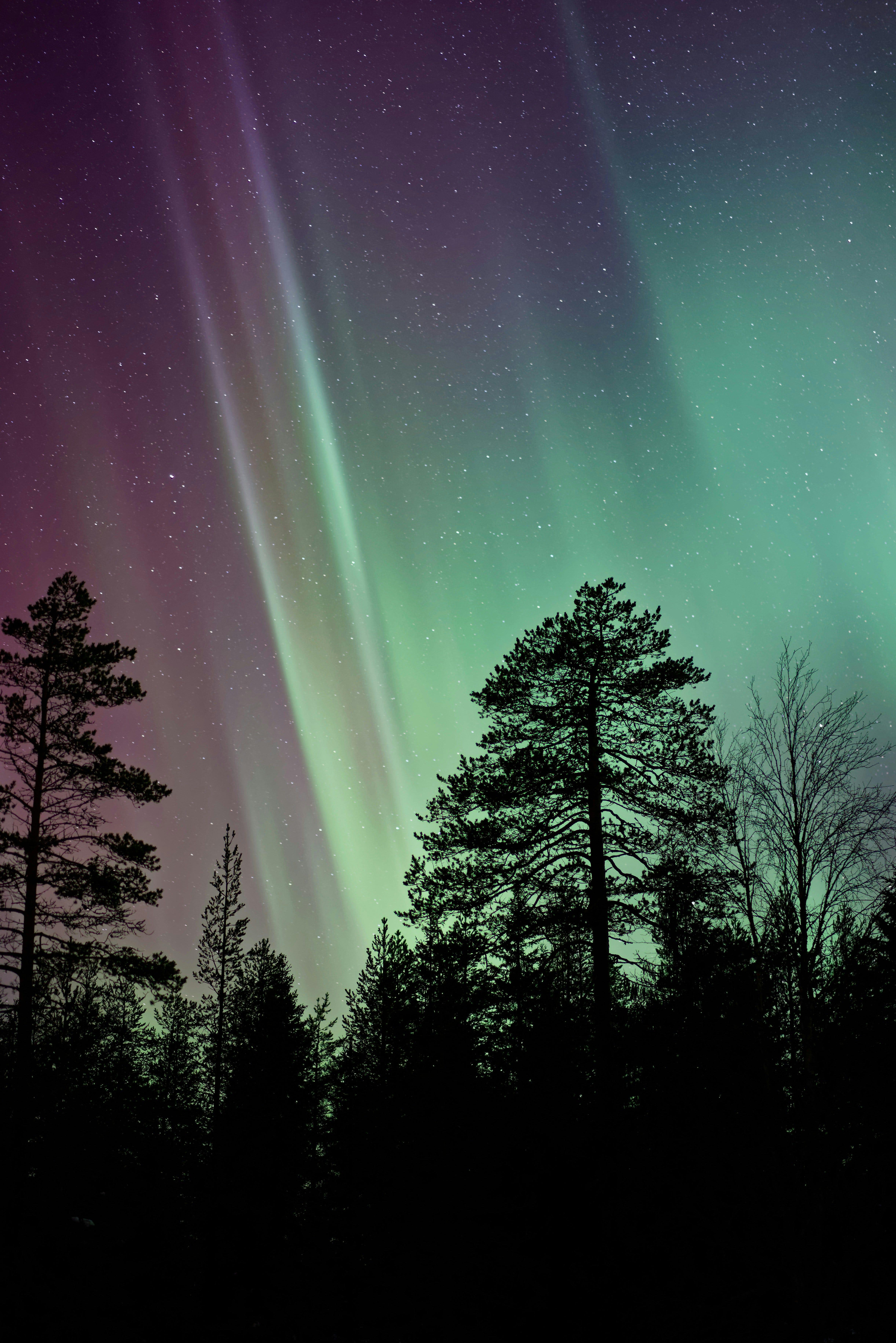Où est-il plus facile de voir l'aurore boréale ? Conseils précieux pour s'illuminer d'immensité