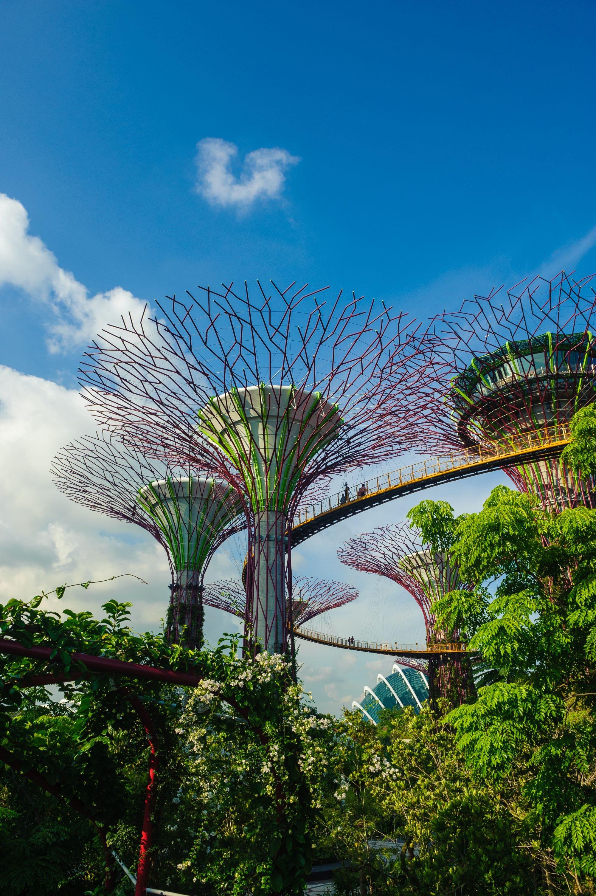 Itinéraire alternatif de Singapour, où visiter le futur que nous verrons dans vingt ans