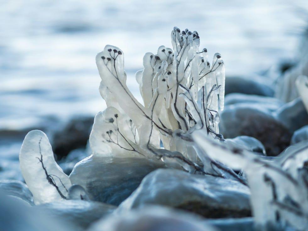 Apprendre le bonheur des Finlandais