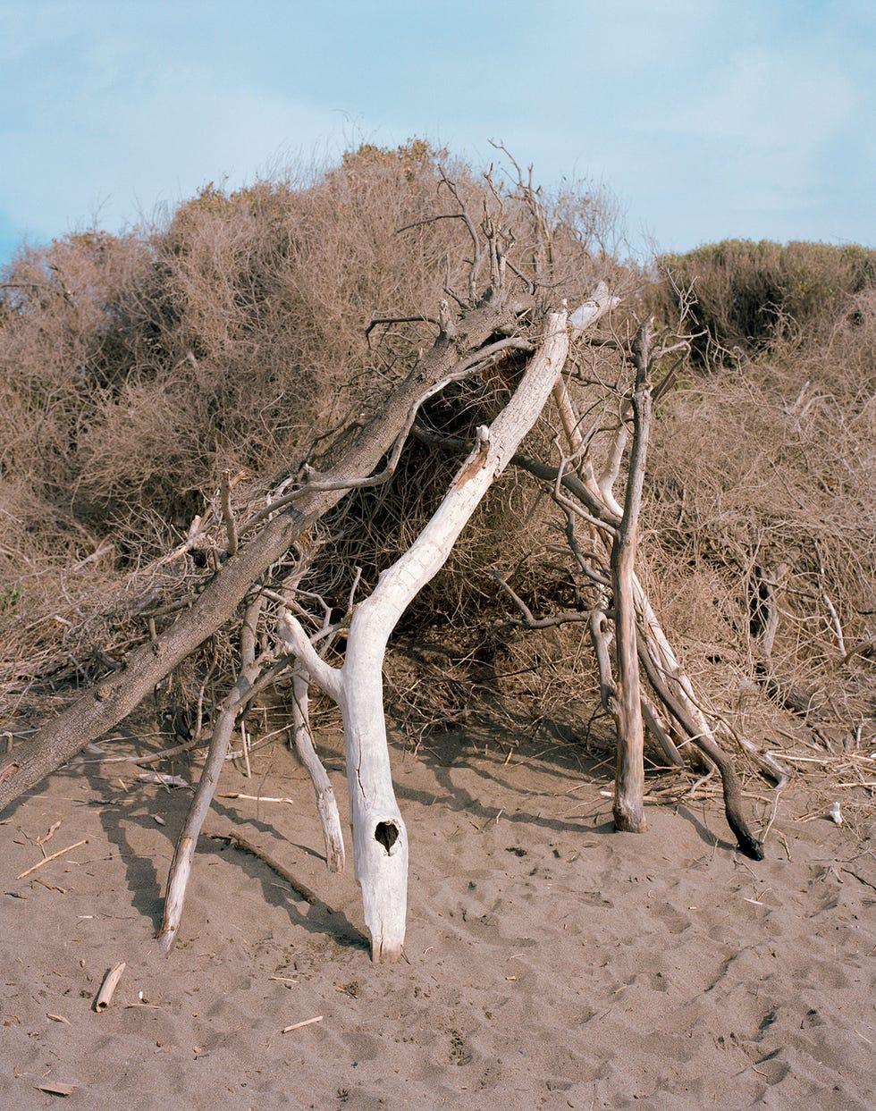 Qui sommes-nous quand nous sommes à la plage ?