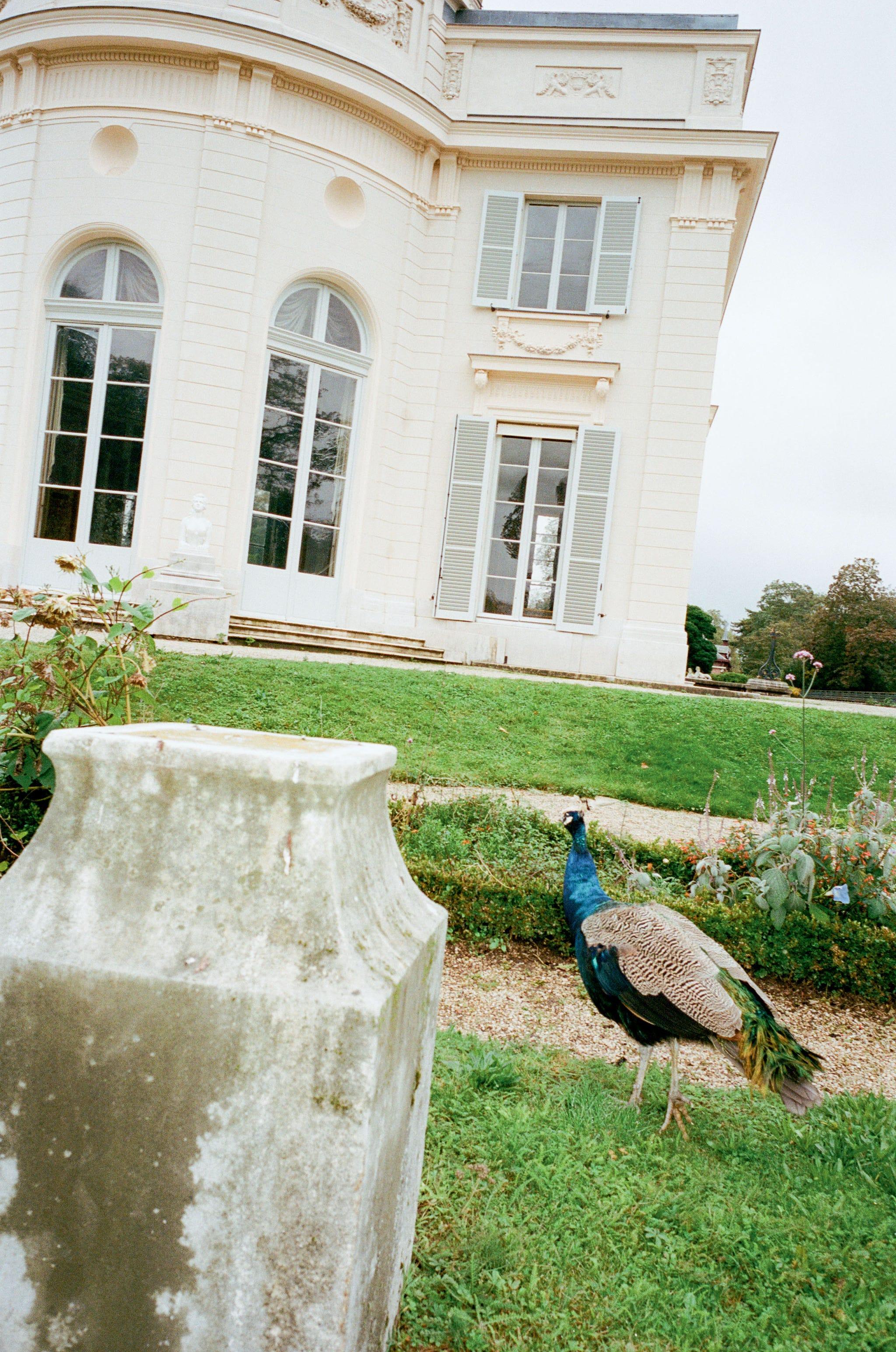 Prego, entrate nell'opulenta, mignon e segreta Casa di piacere di Marie Antoinette