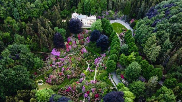 Dans les Alpes Bielloises, en Piémont, l'Oasi Zegna, à découvrir