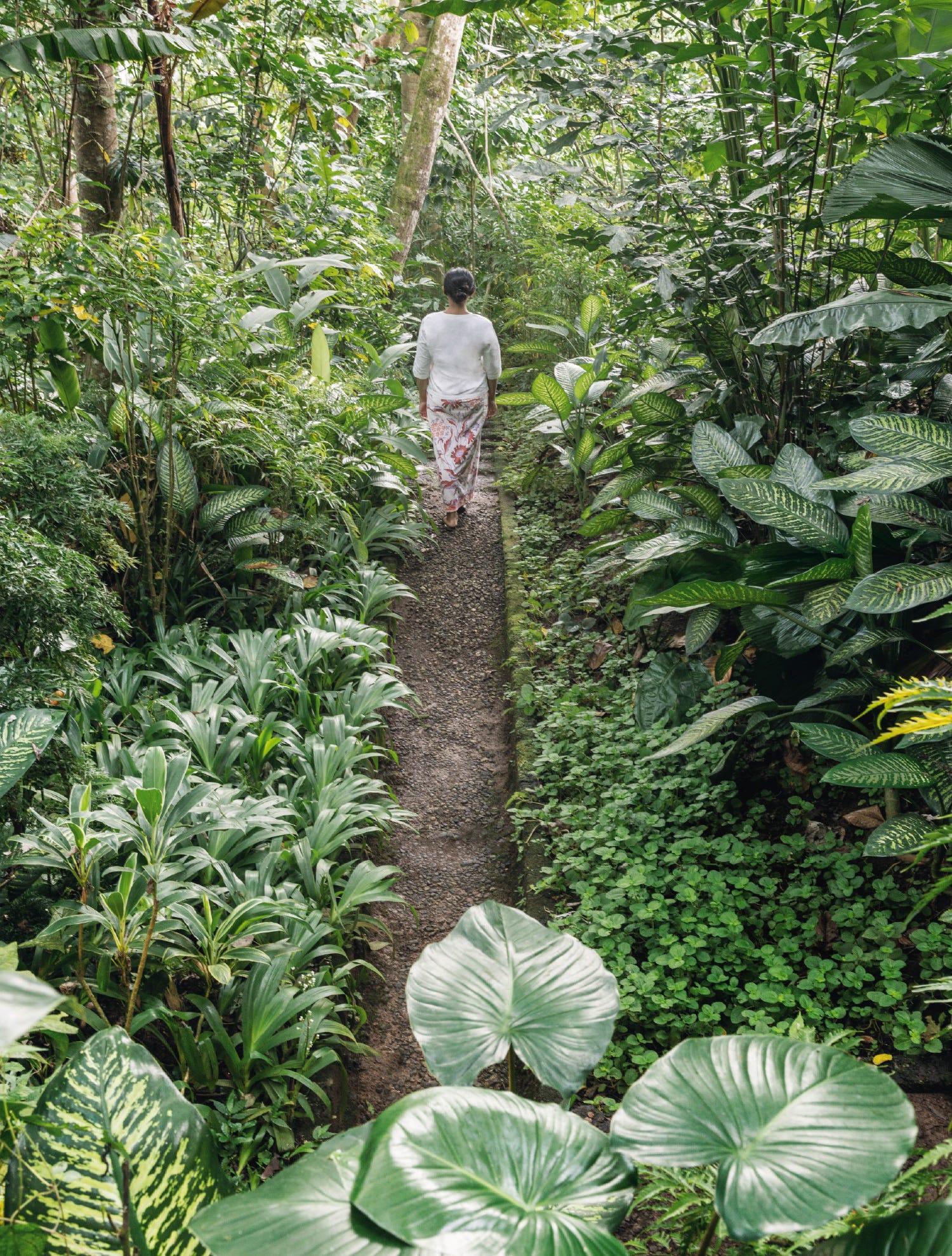 À Bali, l'île plus séduisante de l'archipel indonésien