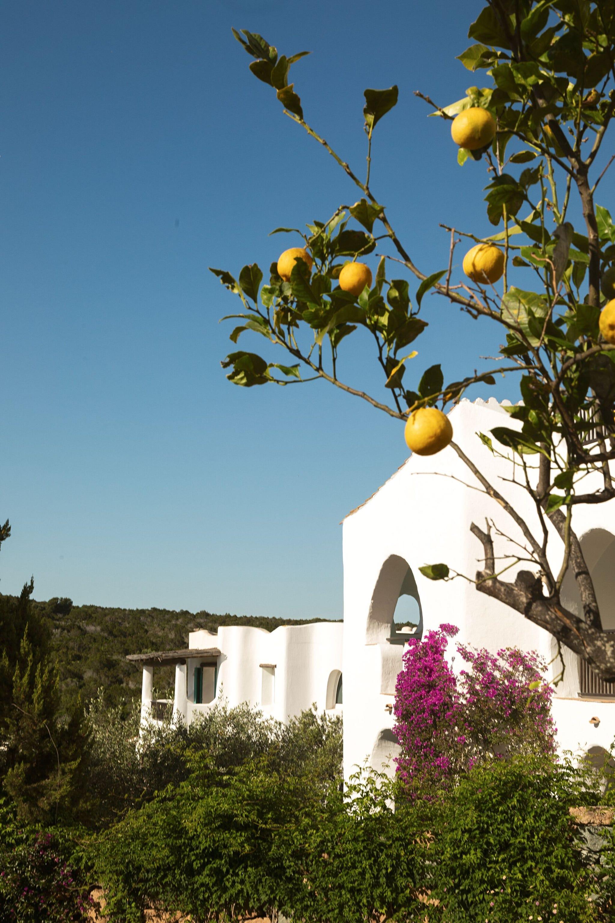 hôtel sardegna romazzino