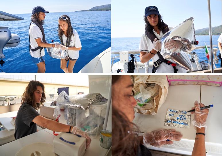 les prélèvements marins projet du centre de voile Caprera et One Ocean Foundation