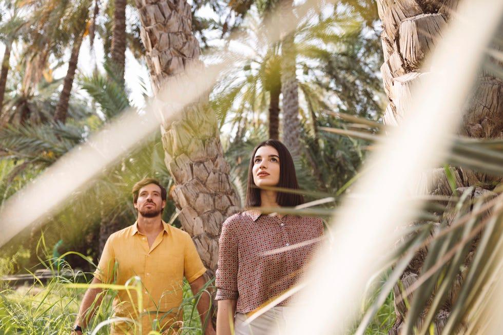 abu dhabi oasis
