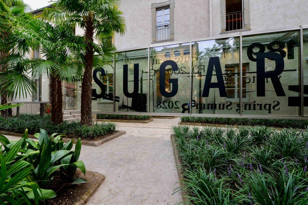 sugar arezzo
