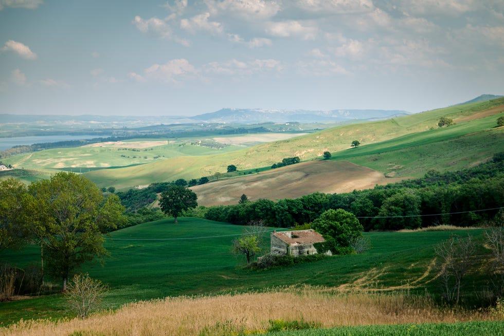 Vert, Prairie, Nature, Paysage naturel, Ciel, Colline, Pâturage, Zone rurale, Environnement naturel, Champ, 