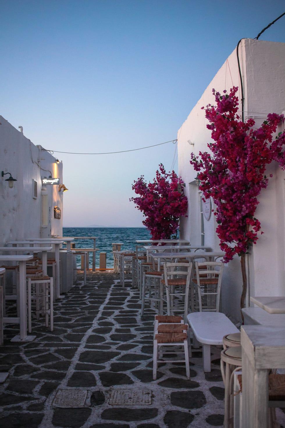 Ciel, Rose, Mer, Architecture, Arbre, Vacances, Bâtiment, Maison, Chambre, Plante, 
