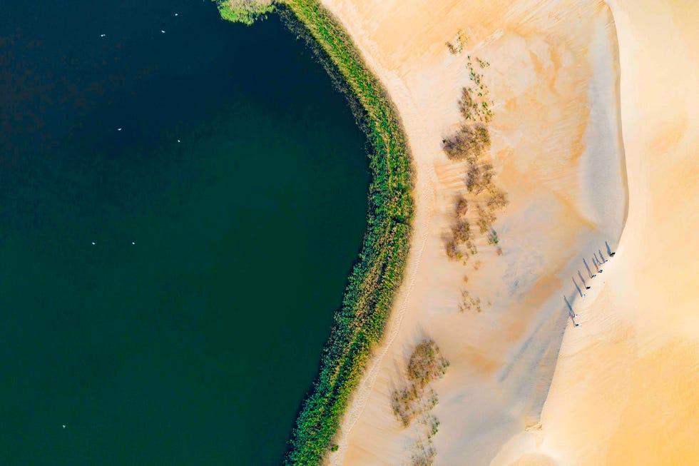 une vue aérienne de la côte du lac Asfar, avec de l'eau bleu-vert parsemée d'oiseaux de mer, et des amoureux de la nature se tenant sur une crête de sable
