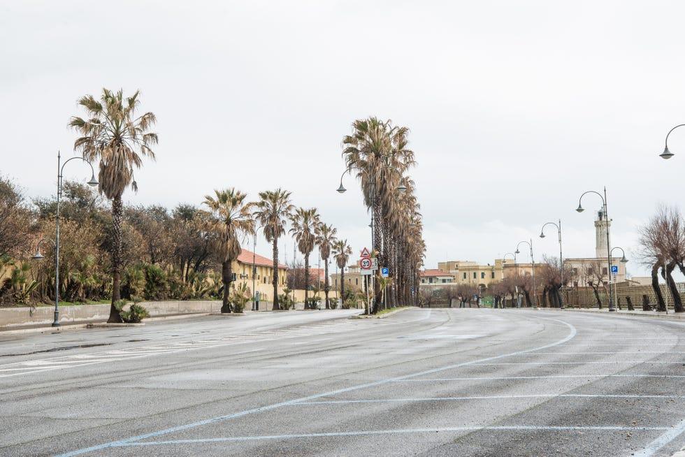 rangée de palmiers entourant une route dans une ville européenne, Anzio, Italie