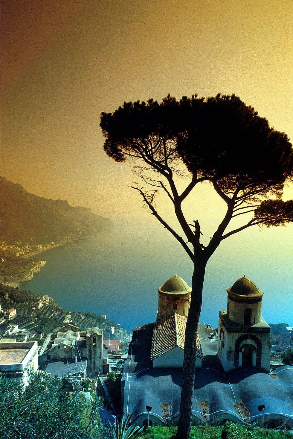 Ciel, Arbre, Nature, Phénomène atmosphérique, Paysage naturel, Matin, Atmosphère, Plante ligneuse, Architecture, Branche