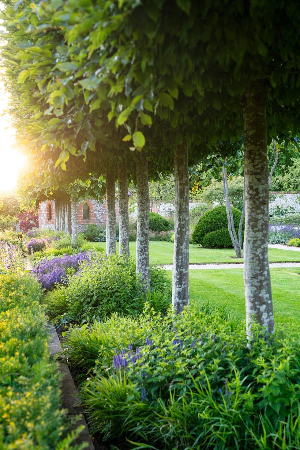 prise de vue de jardin pour Harris Bugg Garden Design, Soundness House, Oxfordshire, juin 2020