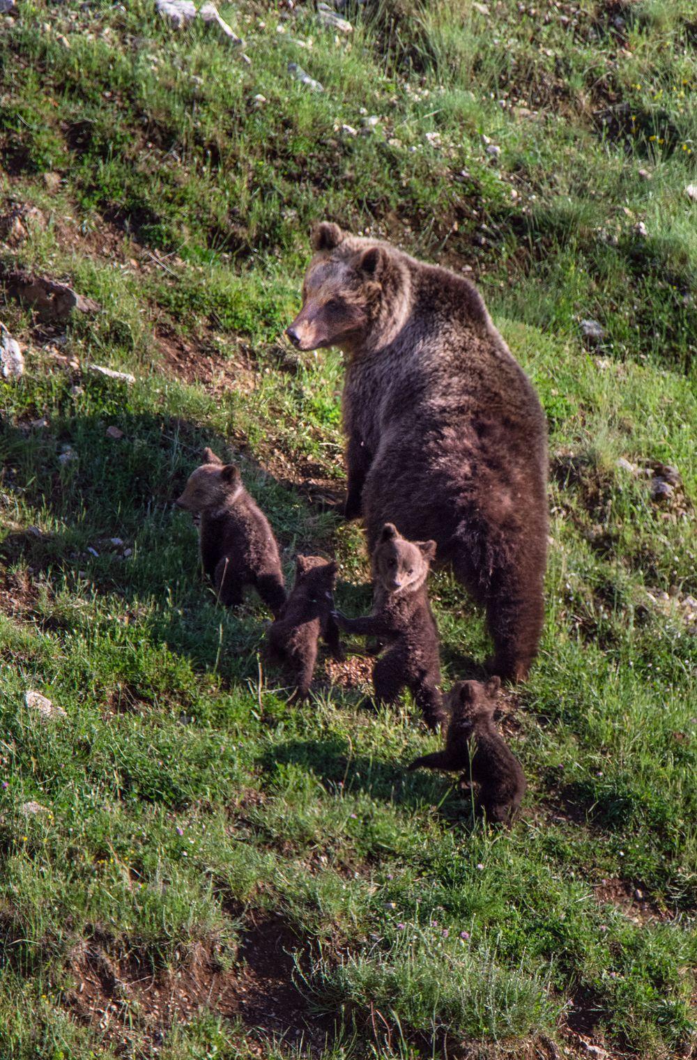 abruzzo