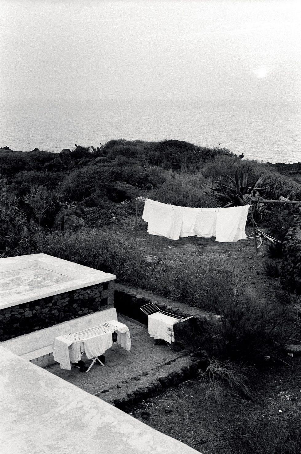 anna brignolo