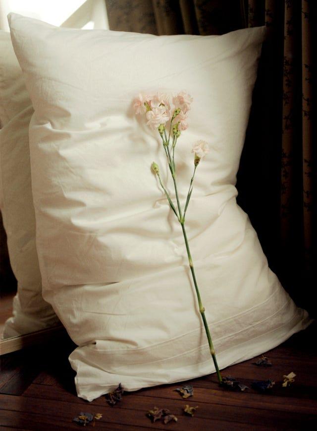 une fleur blanche dans un vase