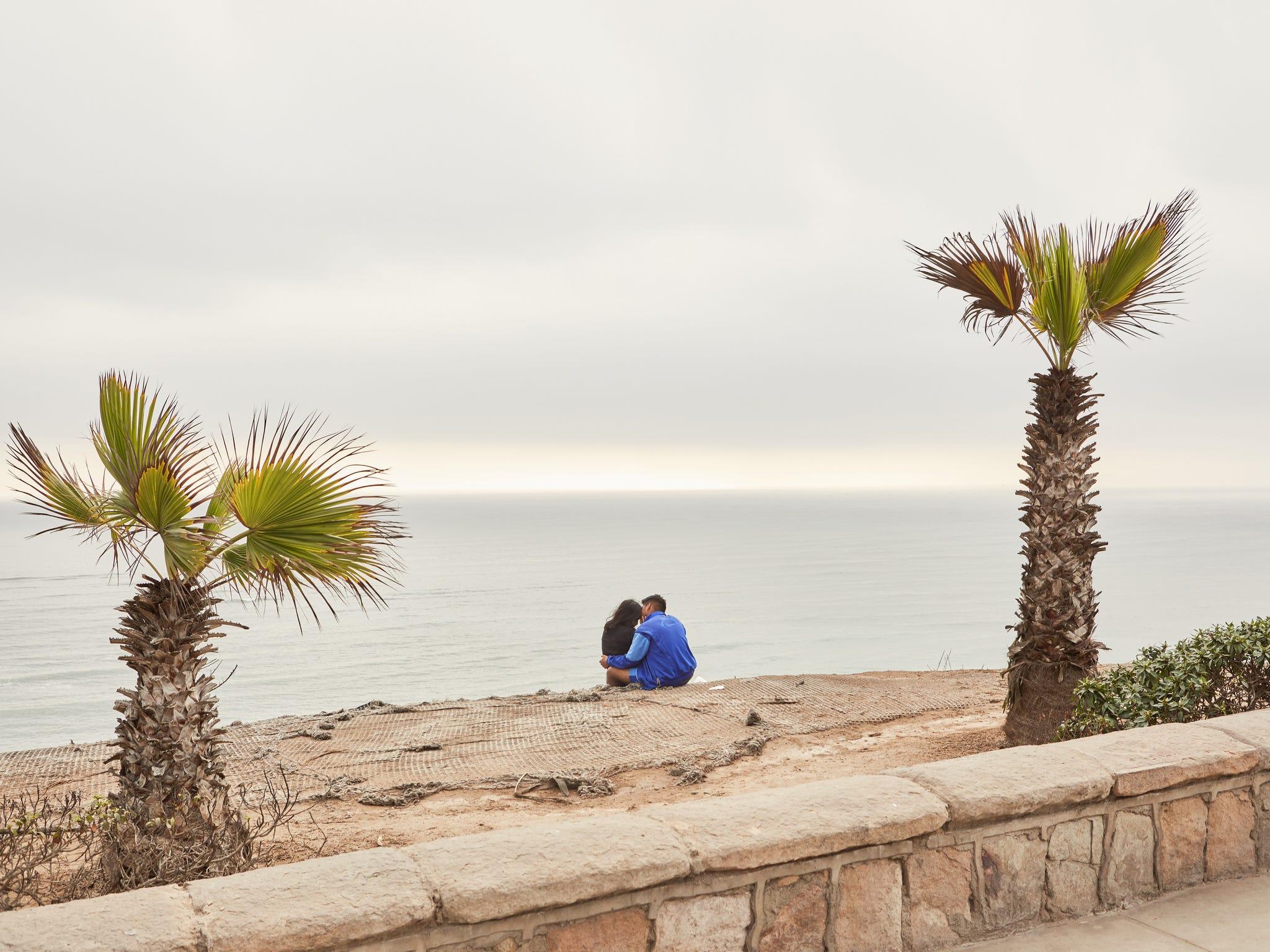 Arbre, Palmier, Ciel, Arecales, Mur, Vacances, Mer, Plante ligneuse, Plante, Paysage,