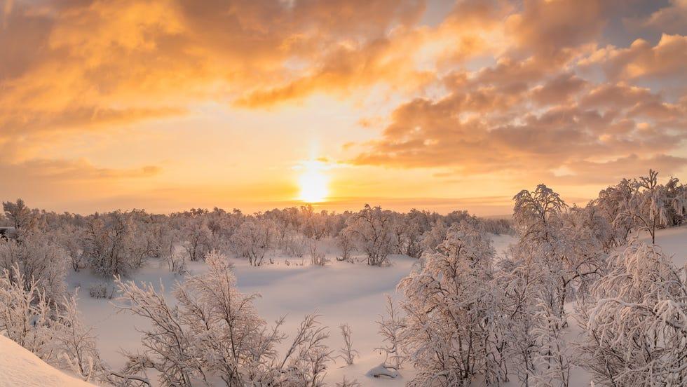 forêt d'hiver au coucher de soleil magnifique paysage d'hiver, finlande