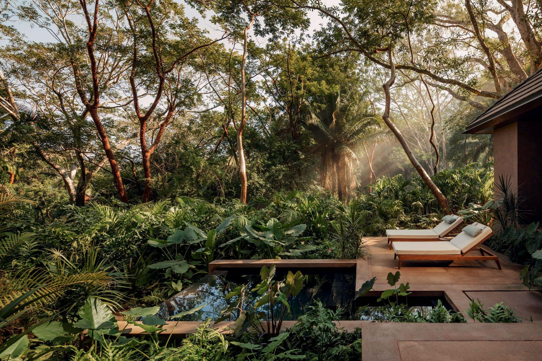 un jardin avec une terrasse en bois et des arbres