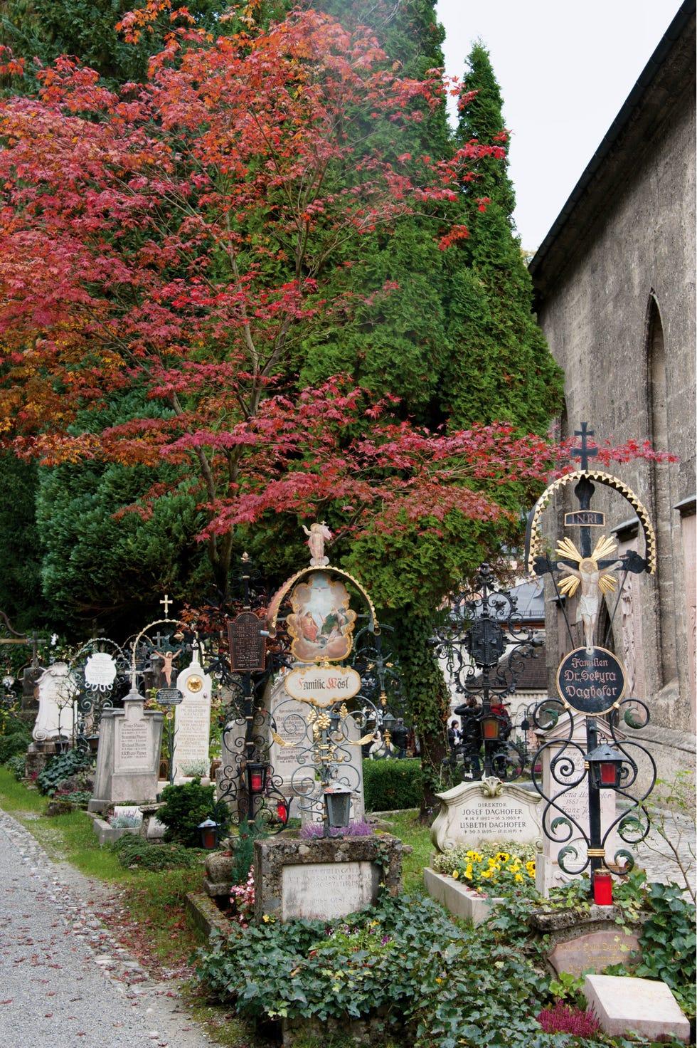 Arbre, mur, plante, printemps, jardin, tombe, fleur, buisson, maison, cimetière