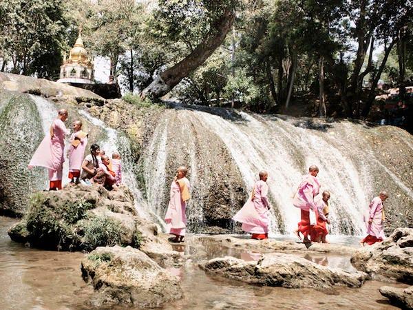 Eau, Rose, Ressources en eau, Arbre, Cours d'eau, Source, Éléments aquatiques, Amusement, Rivière, Robe