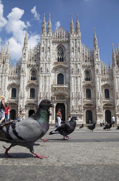 Oiseau, Architecture, Bec, Flèche, Espace public, Monuments, Plume, Architecture gothique, Pigeon biset, Photographie