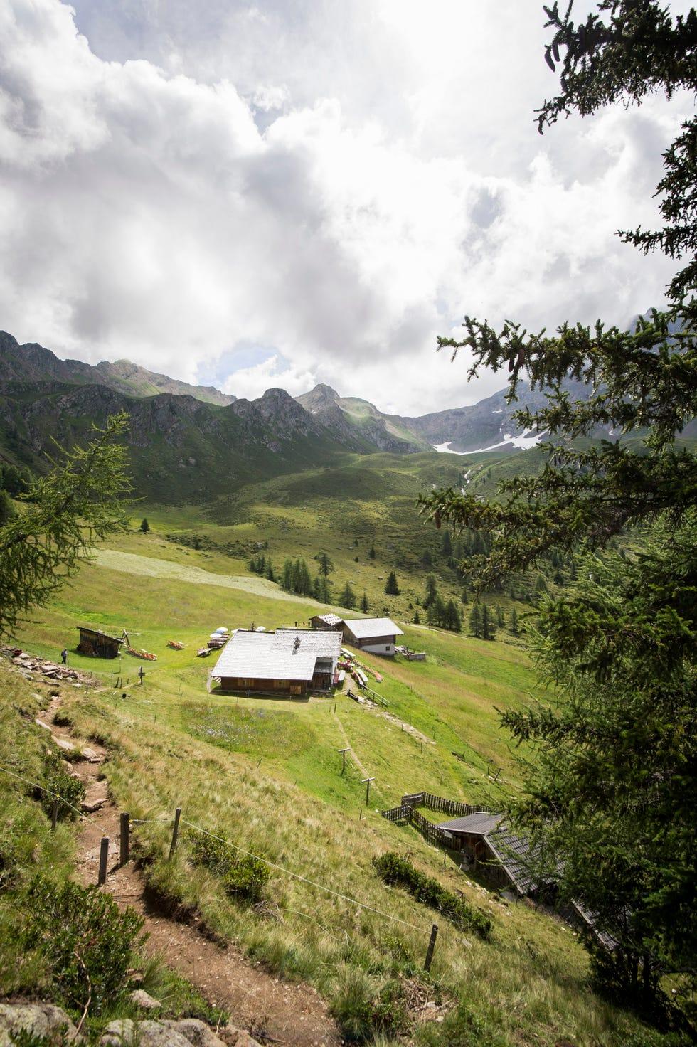 Pâturages alpins de foin à Hirzer en Haut-Adige
