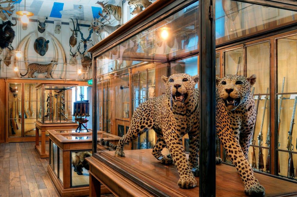 cr20pc France, Paris, le quartier du Marais, musée de la chasse et de la nature