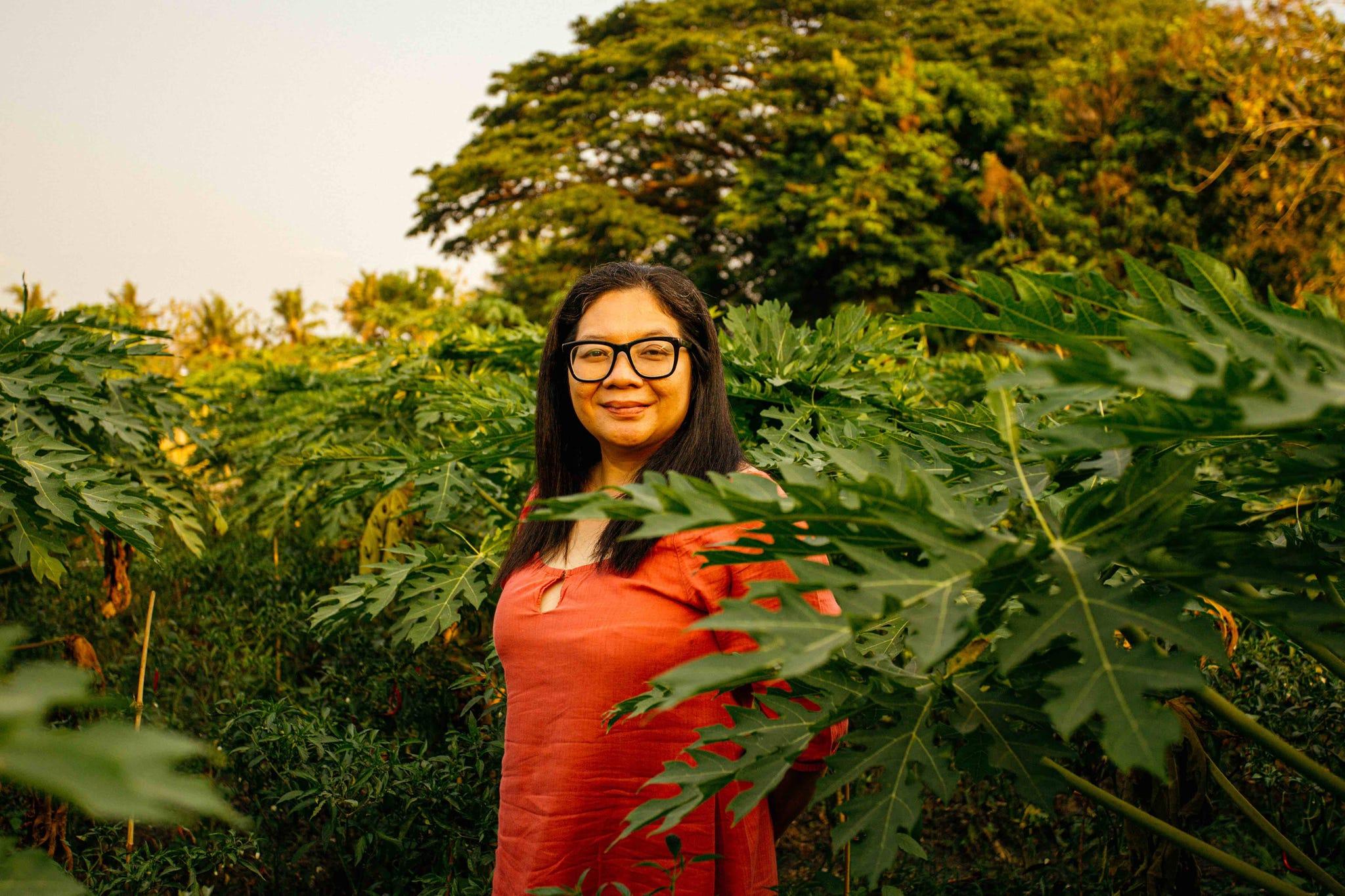 une personne se tenant dans un champ de plantes