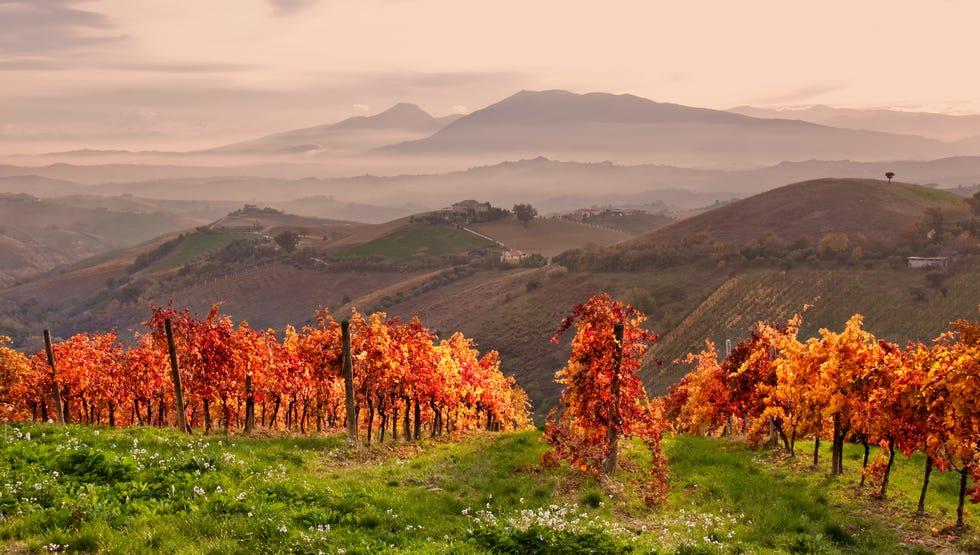 feuillage dans les Marches en Italie