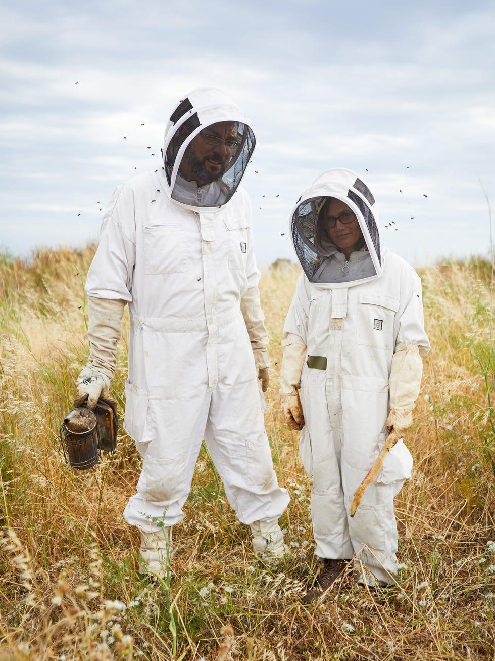 Apiculteur,astronaute,vêtements d'extérieur,herbe,abeille,équipement de protection individuel,pré,l'insecte à membrane,abeille,