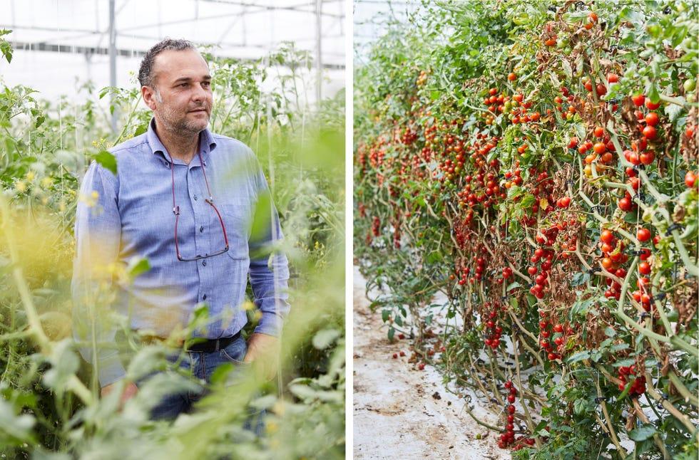 Agriculture,gens en nature,buisson,produits,fruits,ferme,végétation fleurie,jardinier,jardin,ouvrier de ferme,