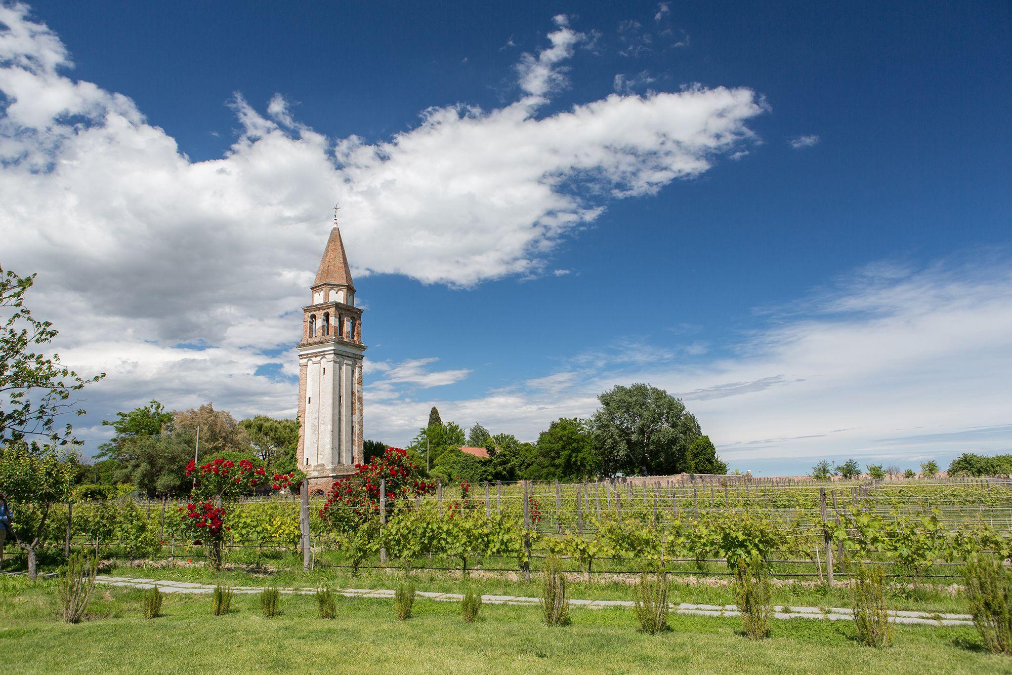 Resort Vinicole Venissa