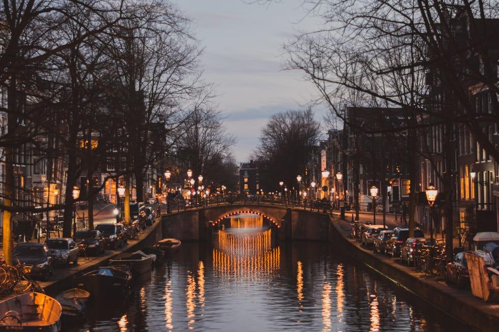 Canal, voie navigable, corps d'eau, reflet, eau, soirée, canal, ciel, nuit, arbre