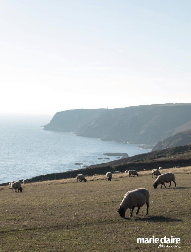 Côte, Ciel, Mer, Horizon, Phénomène atmosphérique, Pâturage, Océan, Pâturage, Écorégion, HautPays