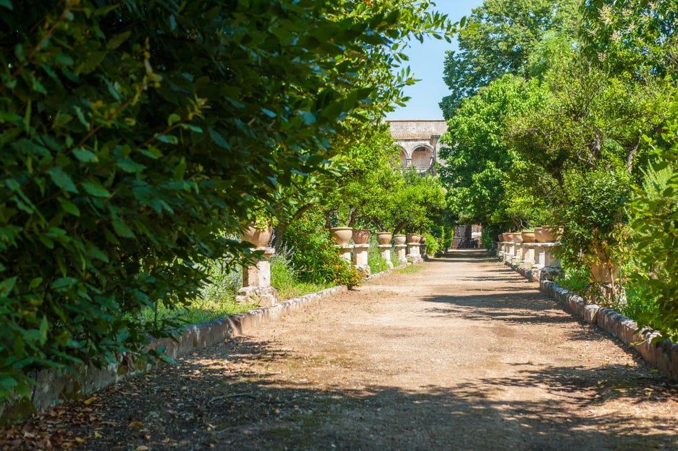 Vert, Arbre, Végétation, Propriété, Ville, Feuille, Botanique, Herbe, Route, Sentier