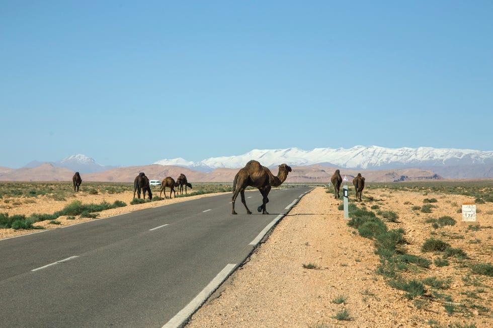 Maroc