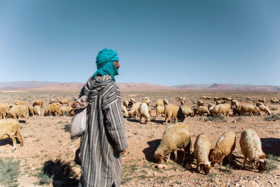 Maroc