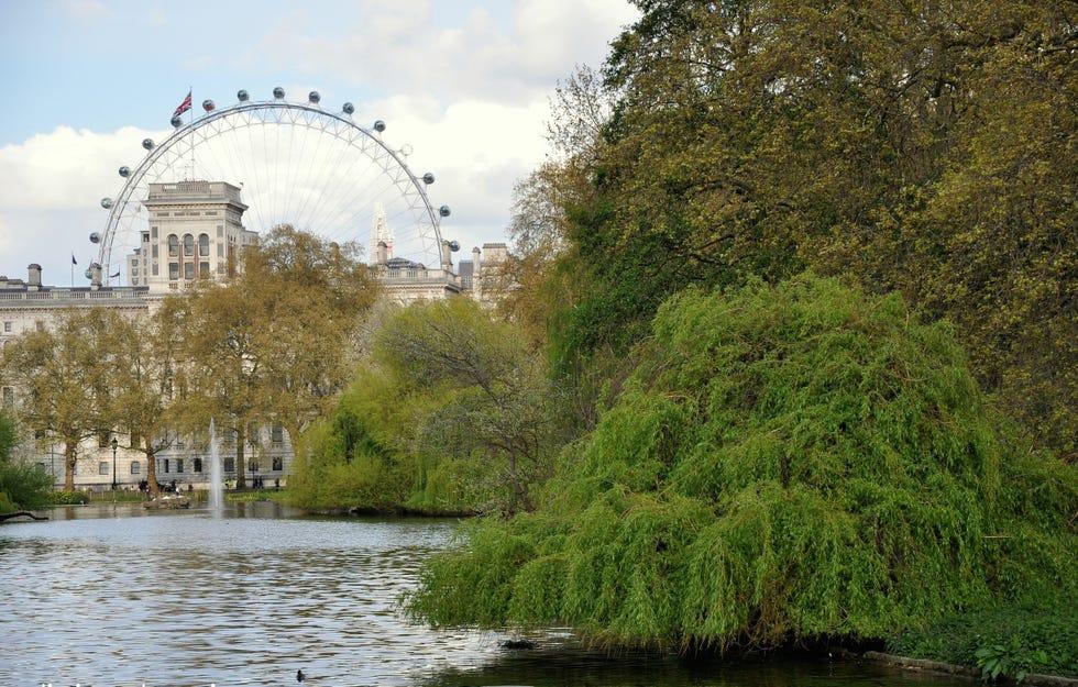 Eau, Grande roue, Rivière, Arbre, Rive, Paysage naturel, Voie navigable, Attraction touristique, Cours d'eau, Ciel,
