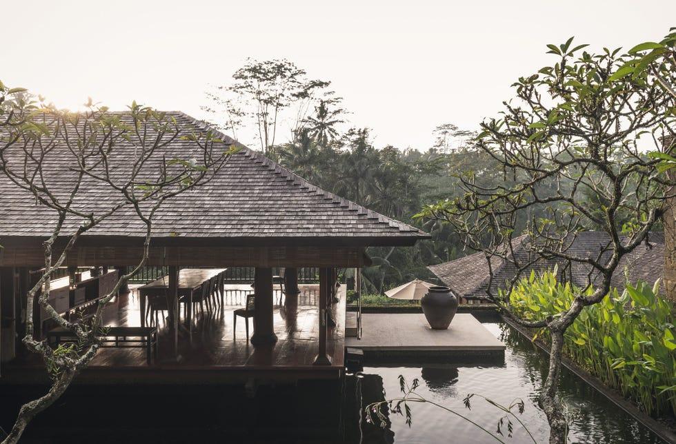 Eau, arbre, voie navigable, bayou, botanique, rivière, maison, architecture, plante, rive