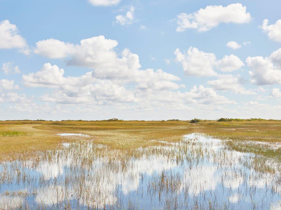Paysage naturel, marais, environnement naturel, prairie, réflexion, ciel, marais salé, marais tidal, marais d'eau douce, zone humide,