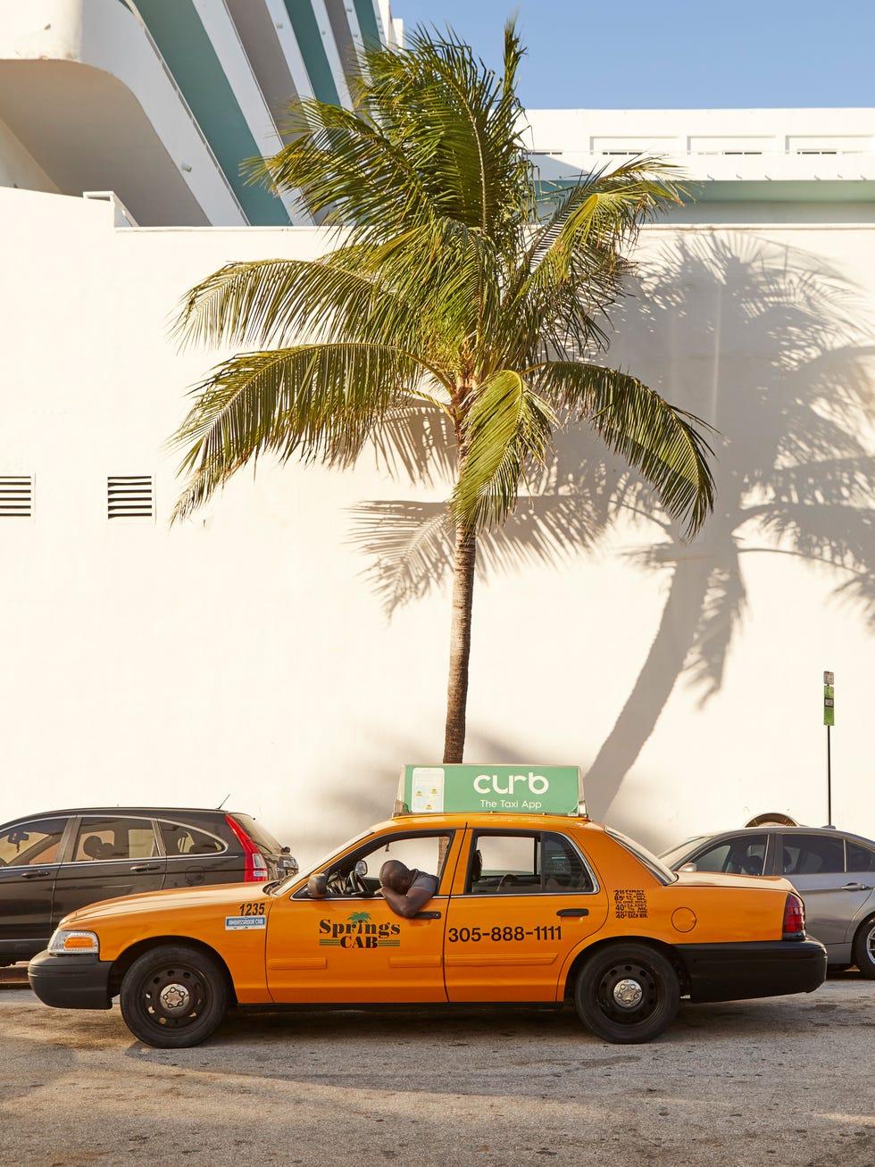 Véhicule, taxi, voiture, jaune, transport, arbre, Ford crown victoria, mode de transport, véhicule de luxe, plante ligneuse,
