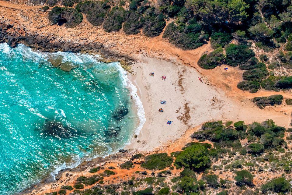 Malerisch schmiegt sich der gerade einmal 80 Meter breite Sandstrand in die Bucht von Cala Varques. Hotels, Cafés oder Geschäfte sucht man hier vergebens. Stattdessen umgibt dichter Wald den feinen Sandstrand bei Porto Cristo, den man nur zu Fuß erreichen kann. Am besten parkt man auf dem Parkplatz an der Hauptstraße Ma-4014 und nimmt von dort den letzten Teil des Weges auf sich. Familien schätzen den flach abfallenden Sand in der Bucht, Kletterer besuchen sie wegen der zerklüfteten Felswände und FKK-Freunde finden in einer weiteren kleinen Bucht ihren Platz, die ein Küstenwanderweg mit der Cala Varques verbindet